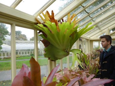 6th Year Geography students visit the Botanic Gardens