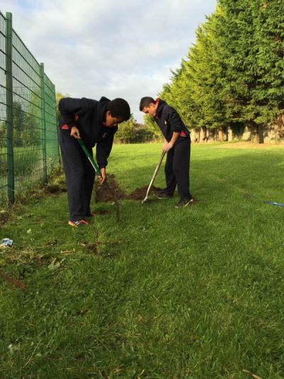 Science Department and TY students start preparing the school biodiversity garden