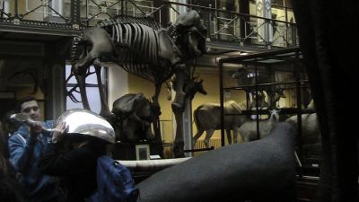 Science Week: Visit to Natural History Museum