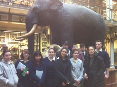5th and 6th Year Biology students visit Natural History Museum