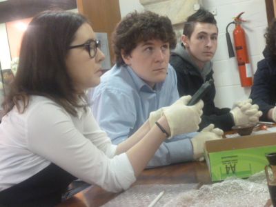 Arts Week 2013: UCD Classical Museum visited by 5th and 6th Year students