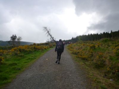 School Walk, 1st May 2014