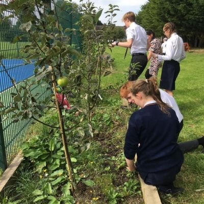 Green Schools taking over tending the Bio-diversity garden