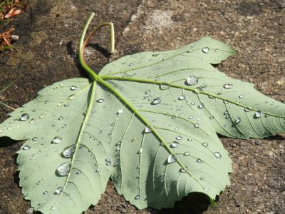 October Photography competition winner announced