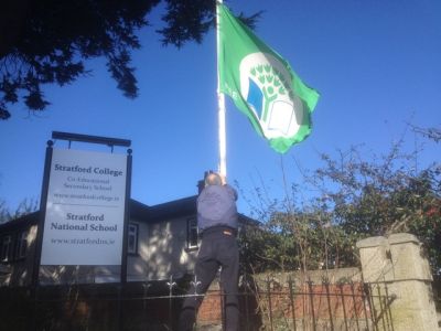 Green Schools: Raising the Green Flag