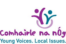 TY student actively involved in the AGM of Comhairle na nÓg in Croke Park