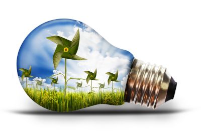 Green Schools - working towards the Energy Flag