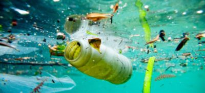 Green Schools aiming for fourth Green Flag for Marine Litter