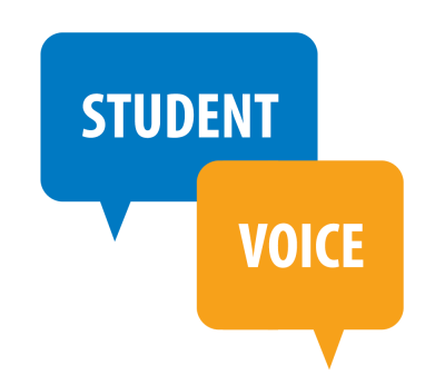 Student Voice: a teacher-student partnership in school experience