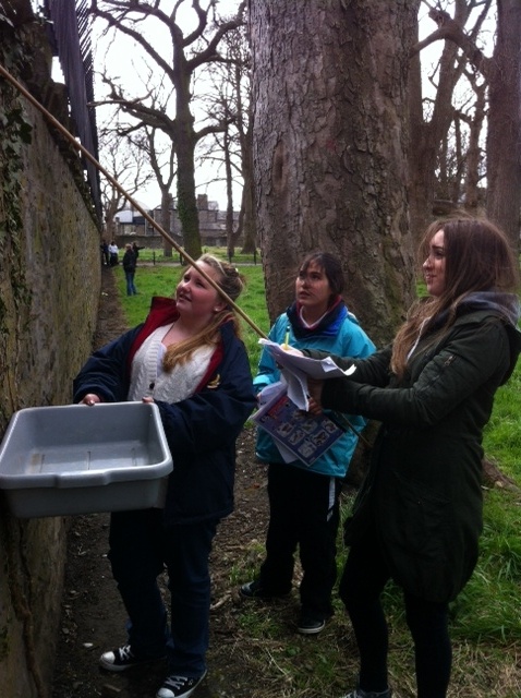 1st Year Ecology Trip Photo: Ms. O'Sullivan
