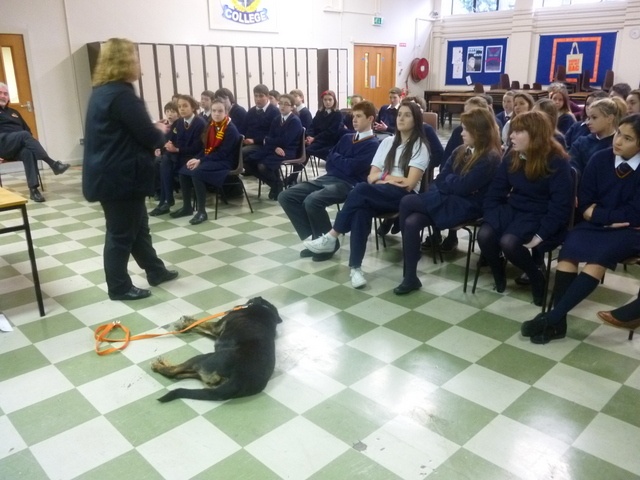 Members of the DSPCA talk to Junior Cycle students. Photo: Ms. O'Kelly
