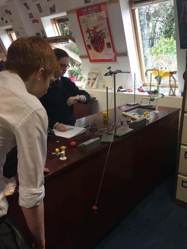 3rd Year students working on science investigations. Photo: Ms. O'Sullivan
3rd Year students working on science investigations. Photo: Ms. O'Sullivan