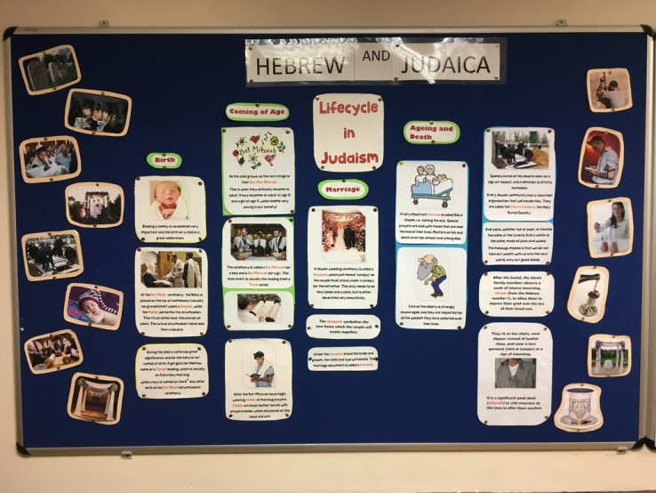 Jewish Studies Noticeboard, outside the Library Photo: Rabbi Lent
