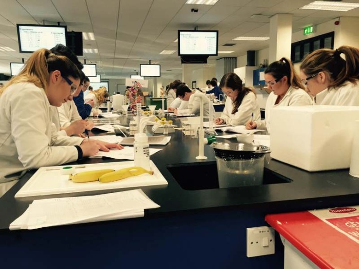 Leaving Certificate Biology and Chemistry Practicals, NUI Maynooth Photo: Ms O'Sullivan
Leaving Certificate Biology and Chemistry Practicals, NUI Maynooth Photo: Ms O'Sullivan