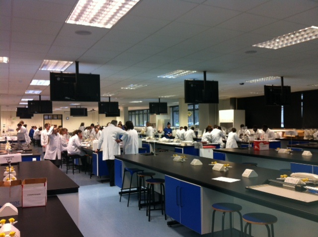 6th Year Leaving Certificate Biology Experiments, NUI, Maynooth. Photo: Ms. O'Sullivan
