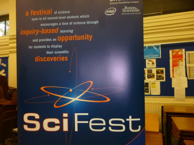 SciFest@Stratford: TY Biodiversity projects Photo: Ms. O'Kelly
