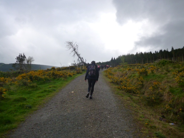 School Walk along part of the Wicklow Way. Photo: Ruth Somers
School Walk along part of the Wicklow Way. Photo: Ruth Somers