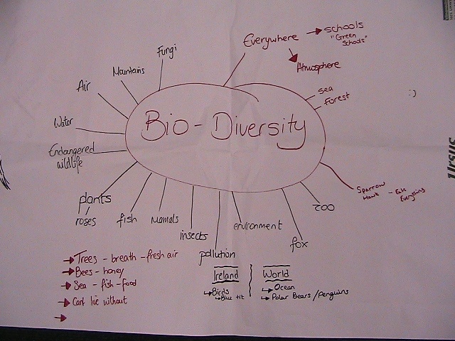 Brainstorming at Biodiversity Workshop Ms. O'Kelly
Brainstorming at Biodiversity Workshop Ms. O'Kelly