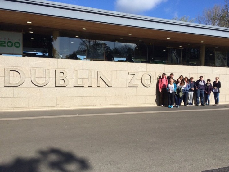 5th Year Ecology Field trip to Dublin Zoo Photo: Ms. O'Sullivan
5th Year Ecology Field trip to Dublin Zoo Photo: Ms. O'Sullivan
