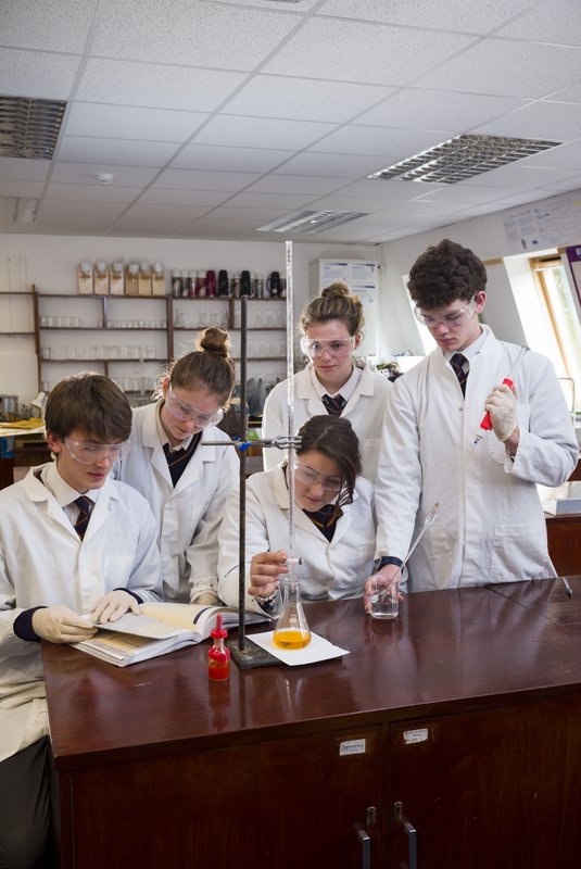 5th Year Science students Photo: John Ohle
