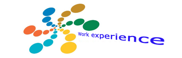 TY Work Experience Image: www.myfirstcv.com
