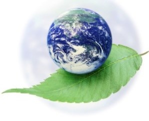 Environmental awareness. Image: colaisteeanna.ie
Environmental awareness. Image: colaisteeanna.ie