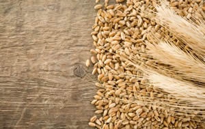 Shavuot Image: www.officeholidays.com
