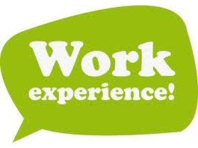 TY Work experience Image: www.thebigidea.co.uk
