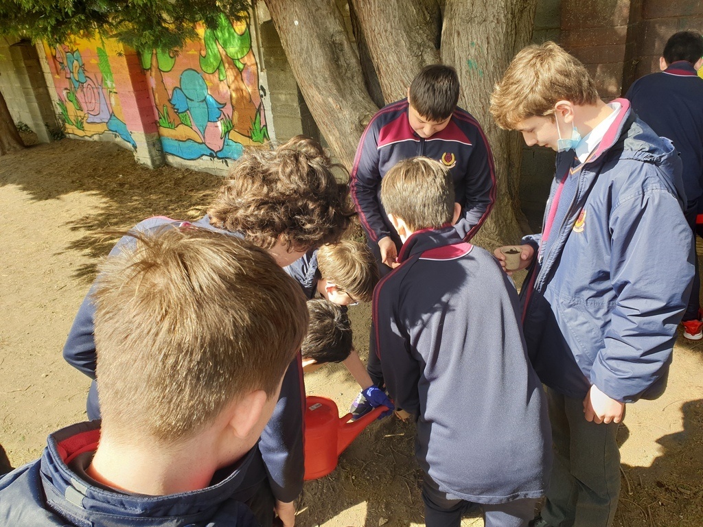 1St Years Spring Planting 20220407 141605 
 1St Years Spring Planting 20220407 141605