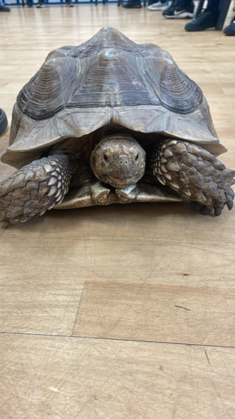 1st Year Reptiles 12 Apr2024 A4 
