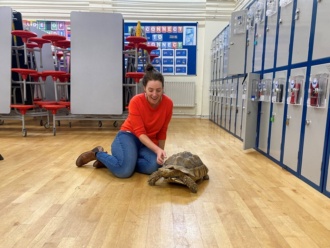 1st Year Reptiles Apr2024 1 
