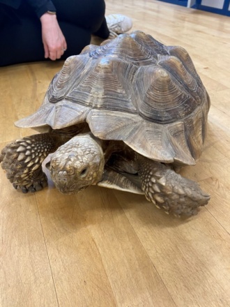 1st Year Reptiles Apr2024 3 
