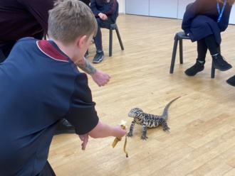 1st Year Reptiles Apr2024 4 
