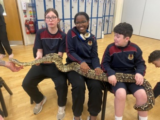 1st Year Reptiles Apr2024 5 
