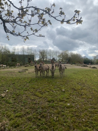 2023 Ecology Trip Dublin Zoo Image 1 
