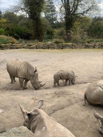 2023 Ecology Trip Dublin Zoo Image 2 

