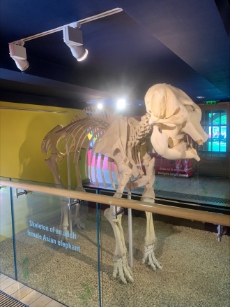 2023 Ecology Trip Dublin Zoo Image 3 
