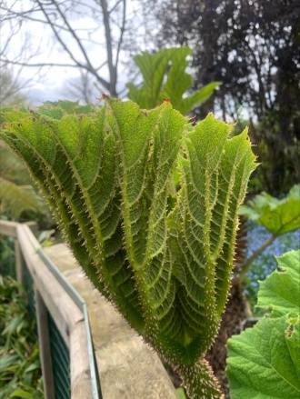 2023 Ecology Trip Dublin Zoo Image 4 
