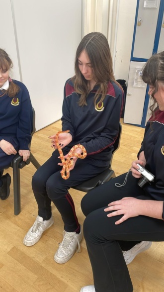 2024 04 12 11 32a 1st Year Reptiles 
