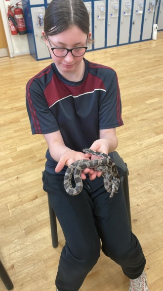 2024 04 12 11 33 1st Year Reptiles 
