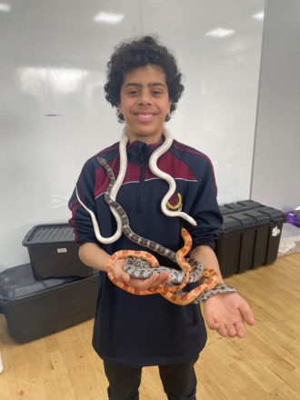 2024 04 12 11 34 1st Year Reptiles 
