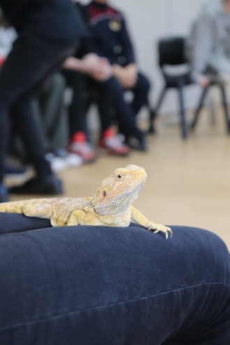 Scienceweek2022 Reptiles IMG 1372 
