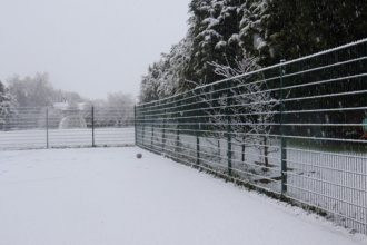 Snow Stratford 1 March2024 IMG 4442 

