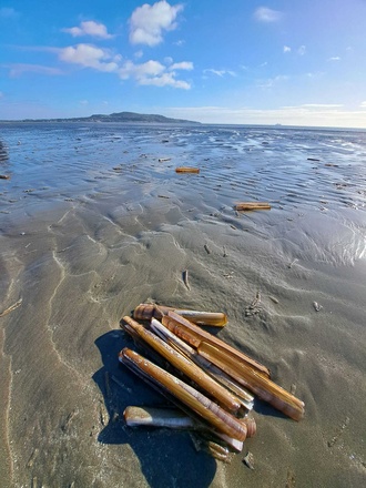 Greenschools 4 22 10 24 
