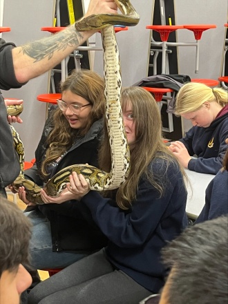 Midlands Reptile processed 41 EE7080 D8 C9 4216 AF6 D 9 D77 DE4 CFE01 
