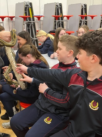 Midlands Reptile processed 46 B59874 C79 F 4987 B406 7 EFB2 A1 CD75 B 
