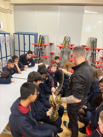 Midlands Reptile processed 51 DE48 BA AF3 A 45 E7 8 FE2 34 D17 CE6 E71 B 
