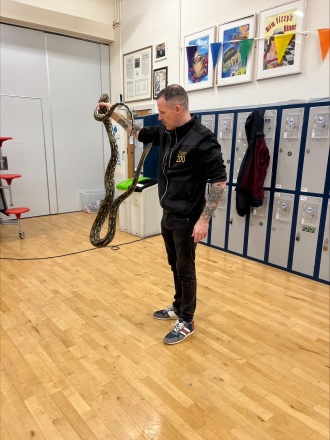 Midlands Reptile processed D2 BEBEF9 B1 A3 4 AD1 B38 C F8 D6 F13 E468 E 
