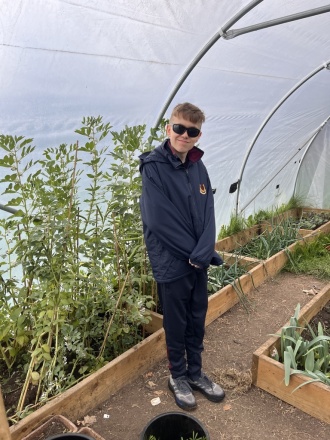 Stratford polytunnel 16 April2026 IMG 0008 

