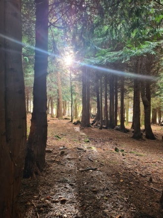 TY Kippure 14 Nov2023 19 
